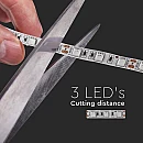 Ταινία led ισχύος 11w/m 60 led/m 5050 IP20 χρωματισμός Ψυχρό λευκό IP20 5 μέτρα VT-5050-60 V-TAC 212126 Ταινία led ισχύος 11w/m 60 led/m 5050 IP20 χρωματισμός Ψυχρό λευκό IP20 5 μέτρα VT-5050-60 V-TAC 212126