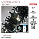 Χριστουγεννιάτικα λαμπάκια LED 240 Λευκό με 8 Προγράμματα Πράσινο Καλώδιο ΙΡ44 NATALE-6 VITO 5620550 