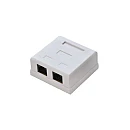 Πρίζα Δικτύου επίτοιχη utp cat5e 2 θυρών RG45 λευκή GN002 Alantec Πρίζα Δικτύου επίτοιχη utp cat5e 2 θυρών RG45 λευκή GN002 Alantec