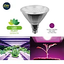 Λαμπτήρας Led E27 PAR38 13Watt Για Ανάπτυξη Φυτών (κήπου) IP65 98869 EDM Spain Λαμπτήρας Led E27 PAR38 13Watt Για Ανάπτυξη Φυτών (κήπου) IP65 98869 EDM Spain
